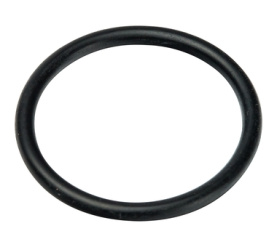 Уплотнительное кольцо (26х3) в комплекте 10 шт. прессовой Multyrama Prandelli 109.80.02.6 в Астрахани 0