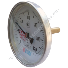 Термометр биметаллический Метер ТБ100 120C Дк 100 L=80 в Астрахани 1