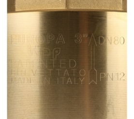 Клапан обратный пружинный муфтовый с металлическим седлом EUROPA 100 3 Itap в Астрахани 7